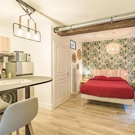 Appartamento Le Driant - Studio Cosy - Hypercentre Troyes